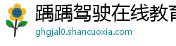 踽踽驾驶在线教育 踽踽驾驶在线教育